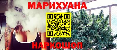 шишки Партизанск